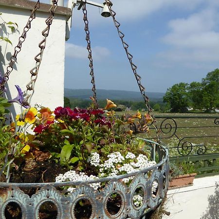 Dean Valley Panorama Bed & Breakfast Lydney Zewnętrze zdjęcie
