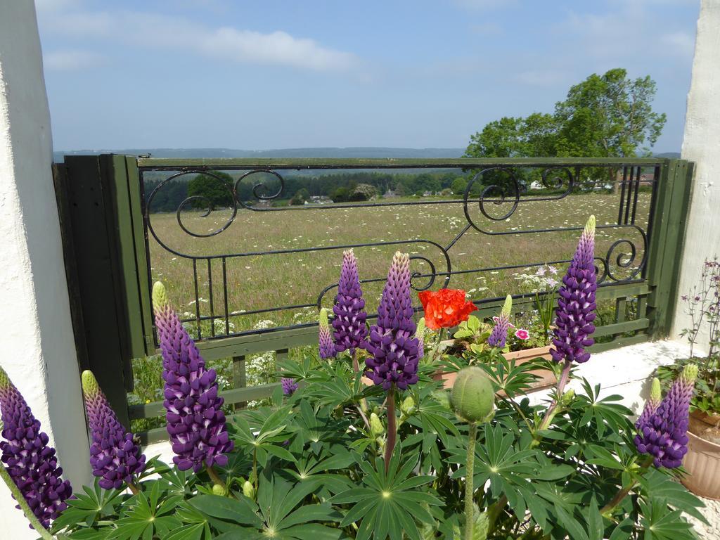 Dean Valley Panorama Bed & Breakfast Lydney Zewnętrze zdjęcie